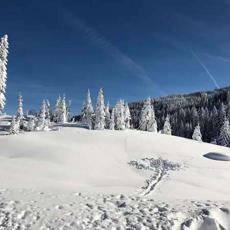 Alpennest * Radstadt
