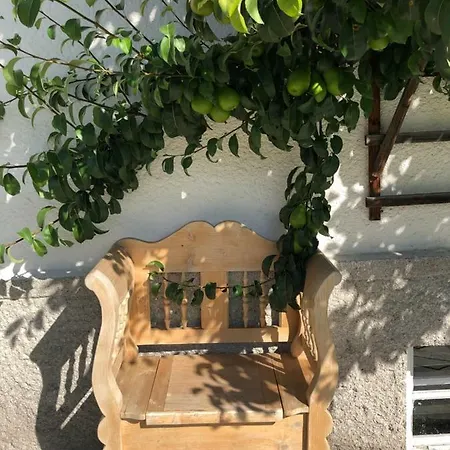 Alpennest